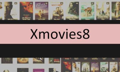 xmovies8 power season 2